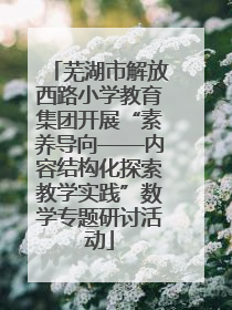 芜湖市解放西路小学教育集团开展“素养导向——内容结构化探索教学实践”数学专题研讨活动